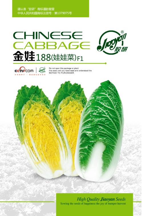 金娃188（娃娃菜）F1——速生小白菜